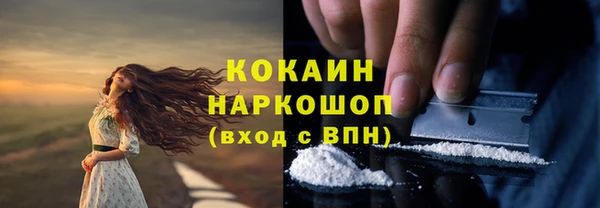 мяу мяу мука Белокуриха