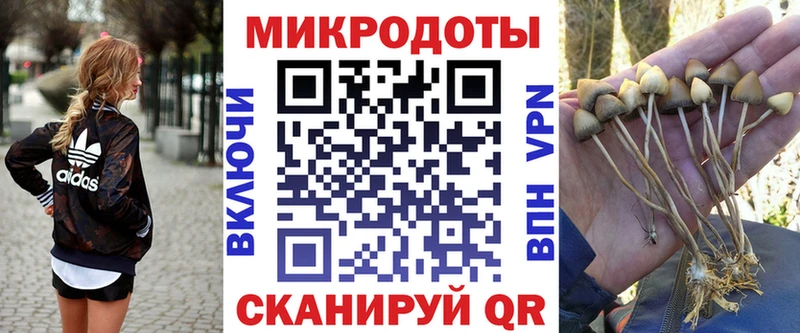 Псилоцибиновые грибы Cubensis  закладка  Улан-Удэ 