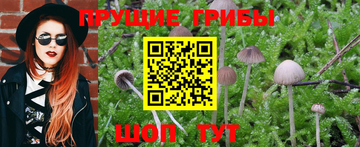 Псилоцибиновые грибы ЛСД  Вход с VPN  Улан-Удэ  Галлюциногенные грибы GOLDEN TEACHER 