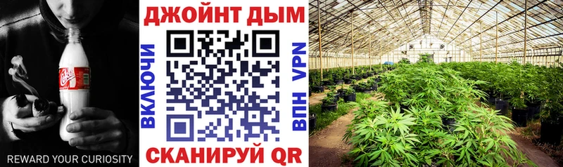 Каннабис гибрид  Улан-Удэ 